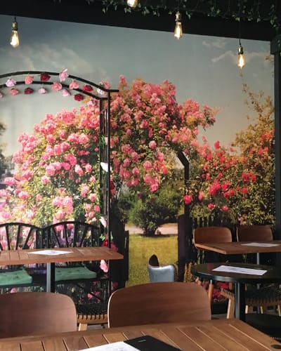 The Peacock Lounge
