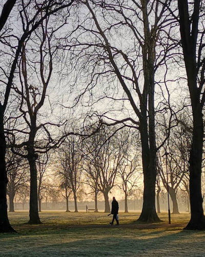 Normanton Park