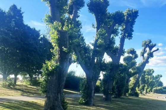 Alvaston Park – Derby’s Riverside Gem