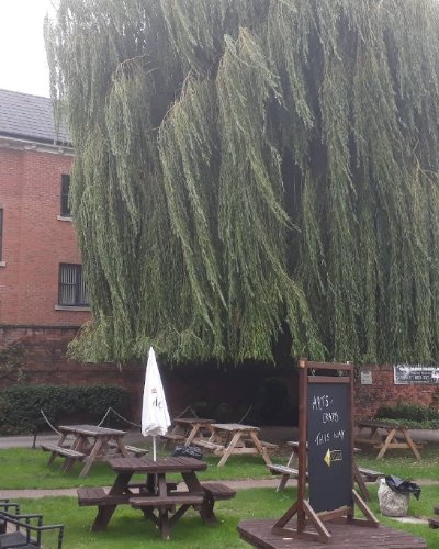 Mr Grundy's Tavern