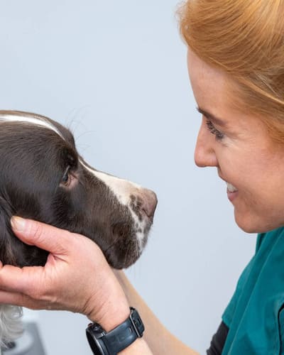 Ambivet Veterinary Centre