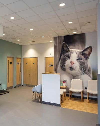 Ambivet Veterinary Centre