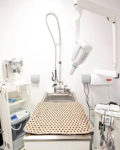 Ambivet Veterinary Centre