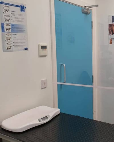 Easipetcare - Veterinary Clinic