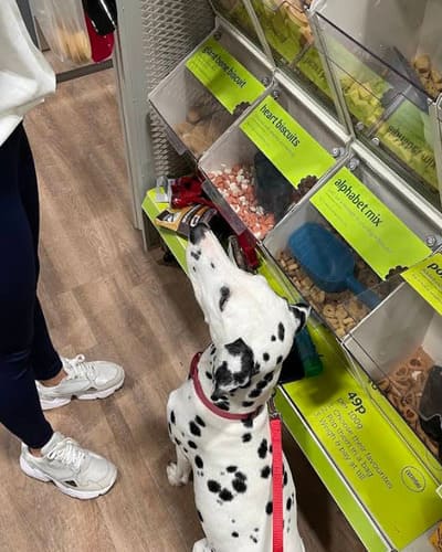 Pets at Home (Chaddesden)