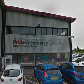 Pride Veterinary Referrals