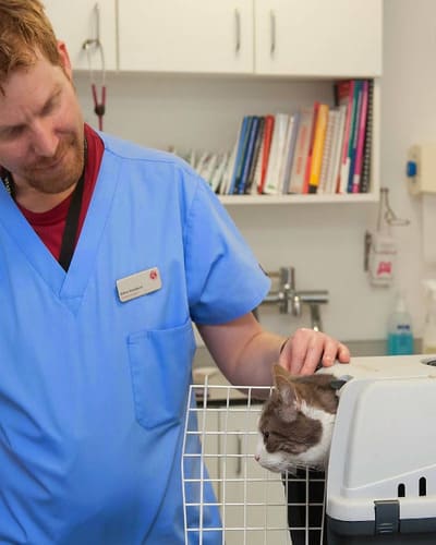 Scarsdale Vets - Allestree