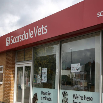 Scarsdale Vets - Chellaston