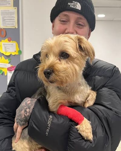 Vets Now Emergency