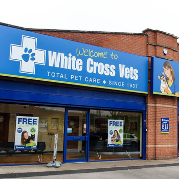 White Cross Vets