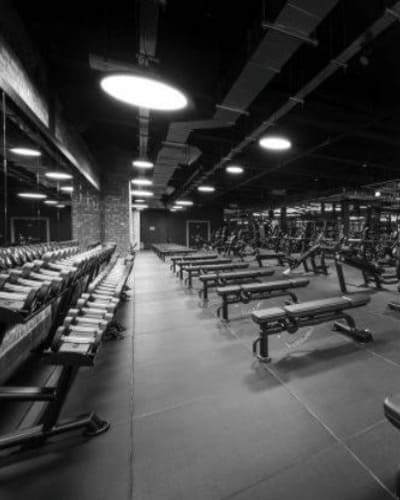 Everlast Gyms