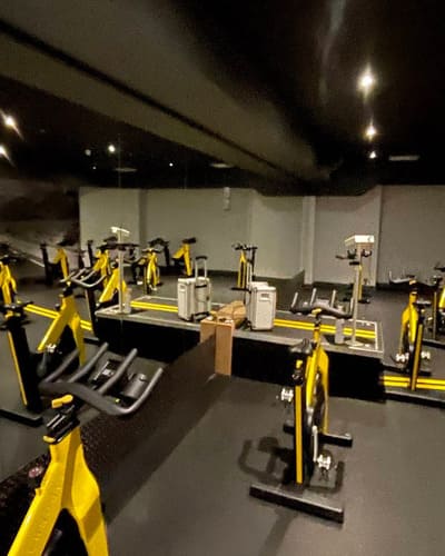 Everlast Gyms