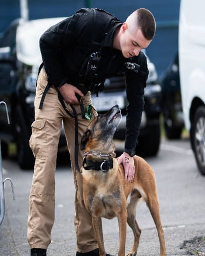 Monarch Security Services