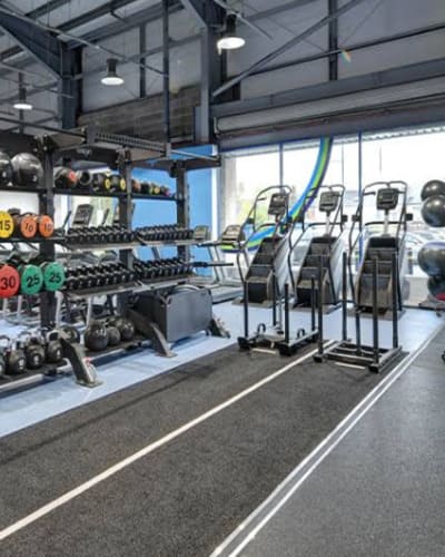 The Gym Group